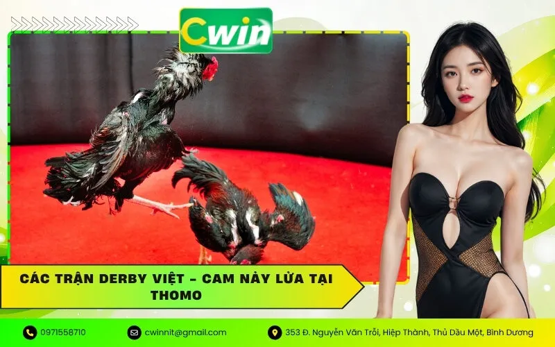 Các trận Derby Việt - Cam Nảy Lửa tại Thomo