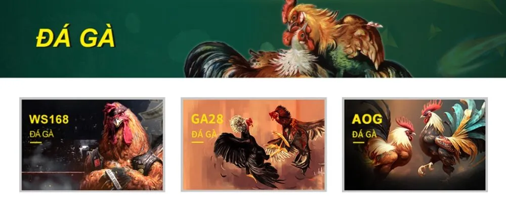 Đá Gà Trực Tiếp: Đấu Trường Rực Lửa