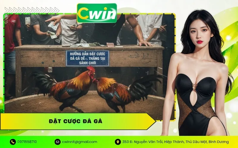 Đặt Cược Đá Gà