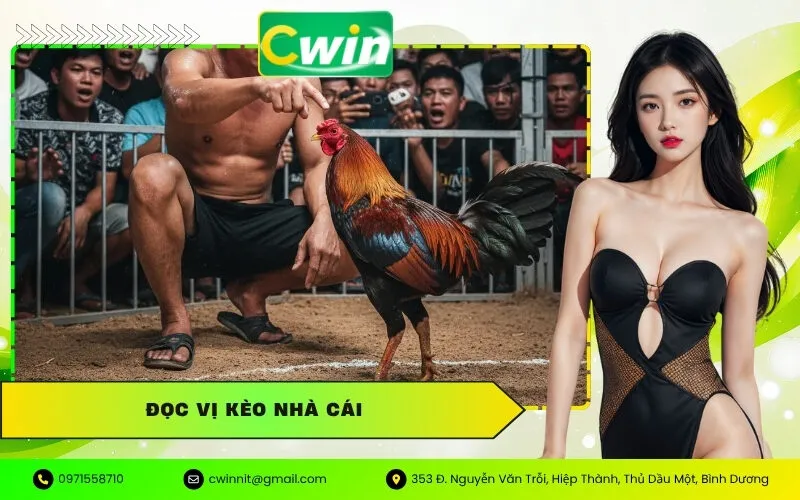 Đọc Vị Kèo Nhà Cái