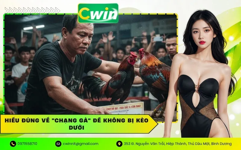 Hiểu Đúng Về "Chạng Gà" Để Không Bị Kèo Dưới