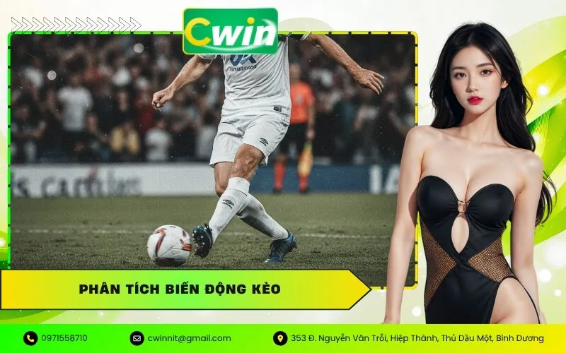 Phân Tích Biến Động Kèo