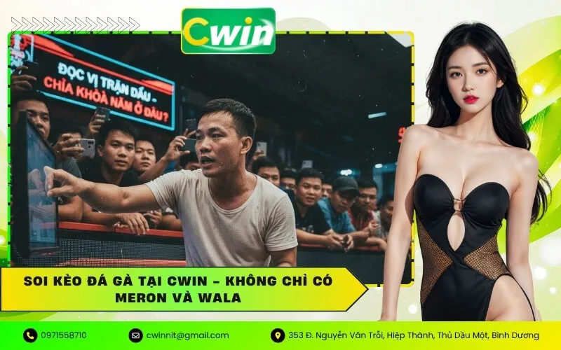 Soi Kèo Đá Gà Tại Cwin - Không Chỉ Có Meron và Wala