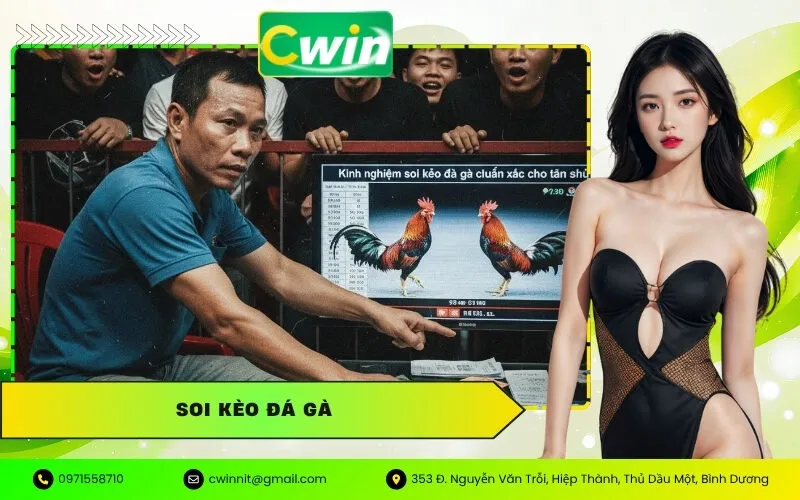 Soi Kèo Đá Gà